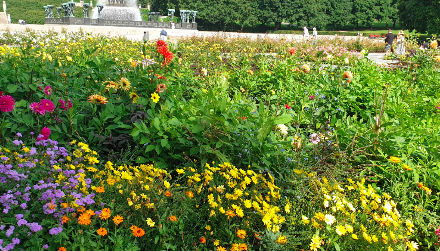 Tur i Frognerparken 13.august 2020