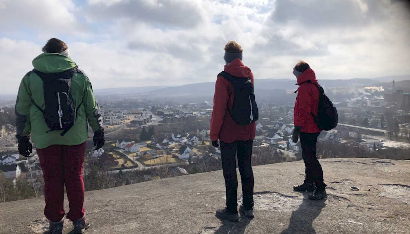 Liten kohort av postpensjonister på tur