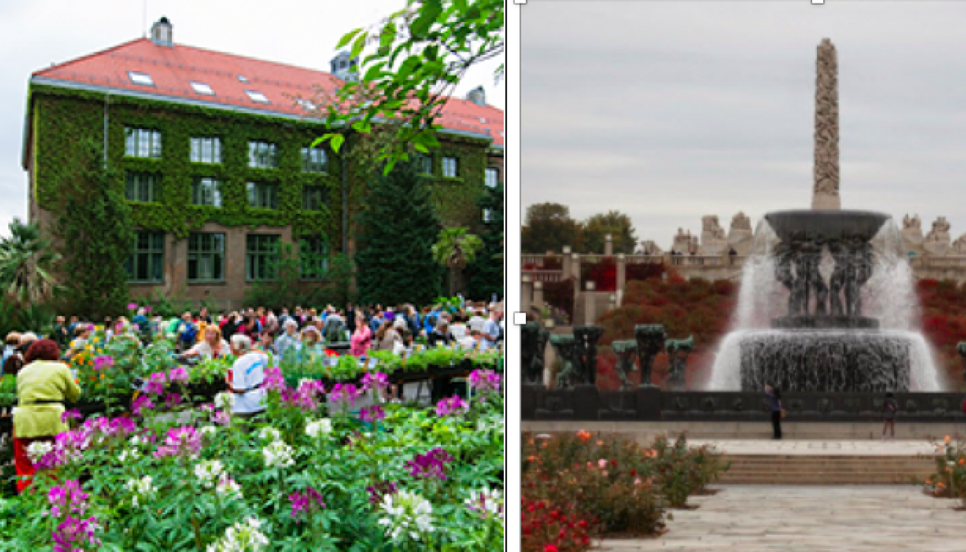Onsdagsturer i Botanisk Hage og Frognerparken