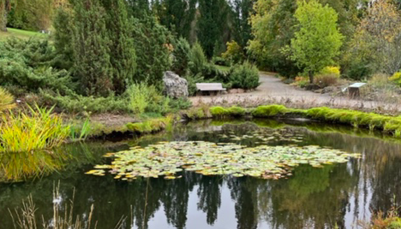 Besøk i Naturhistorisk museum på Tøyen 28.september