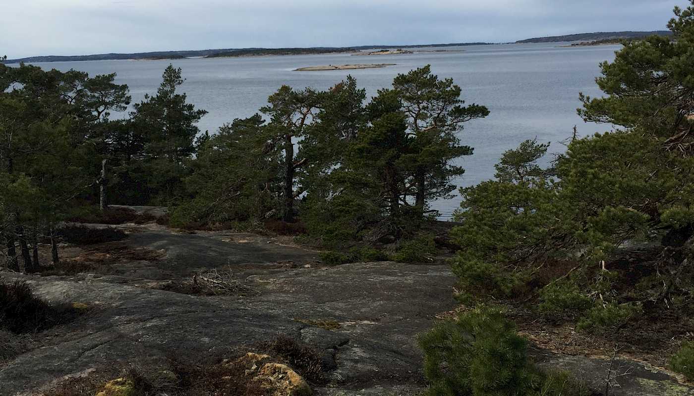 Aktivitetsplan august-desember 2023