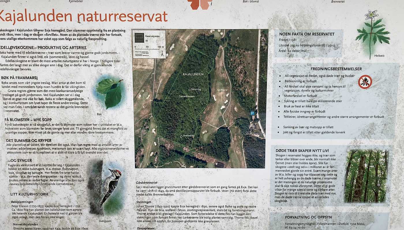 38 postpensjonister på tur i Kajalunden og Vardåsen