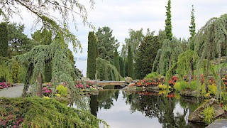 Et bilde som inneholder utendørs, plante, Botanisk hage, vann