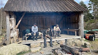 Et bilde som inneholder utendørs, tre, himmel, grunn
