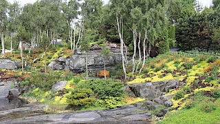 Bilde utendørs med vann, himmel, trær og planter