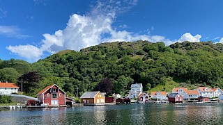 Et bilde som inneholder utendørs, tre, vann, sky