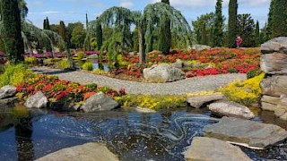 Blomster med vanningsanlegg