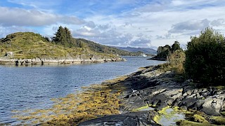 Utsikt mot Herøybrua