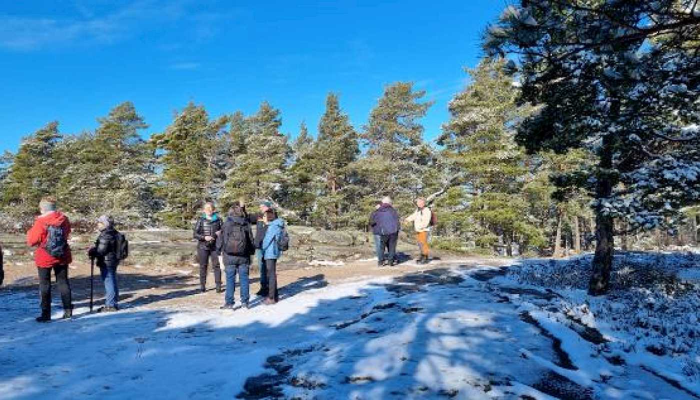 Tur til Vetatoppen