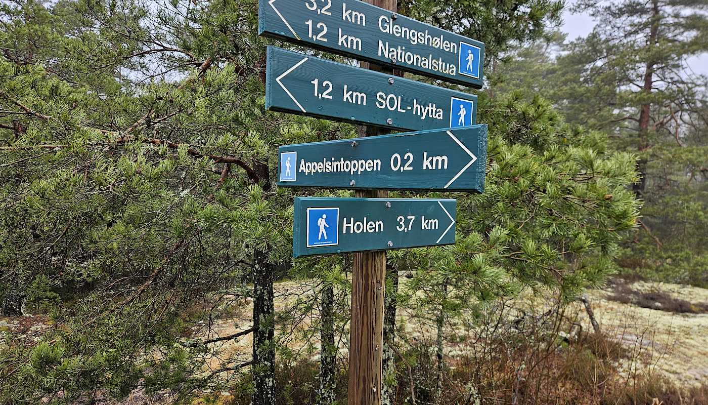 Appelsintoppen i tåke