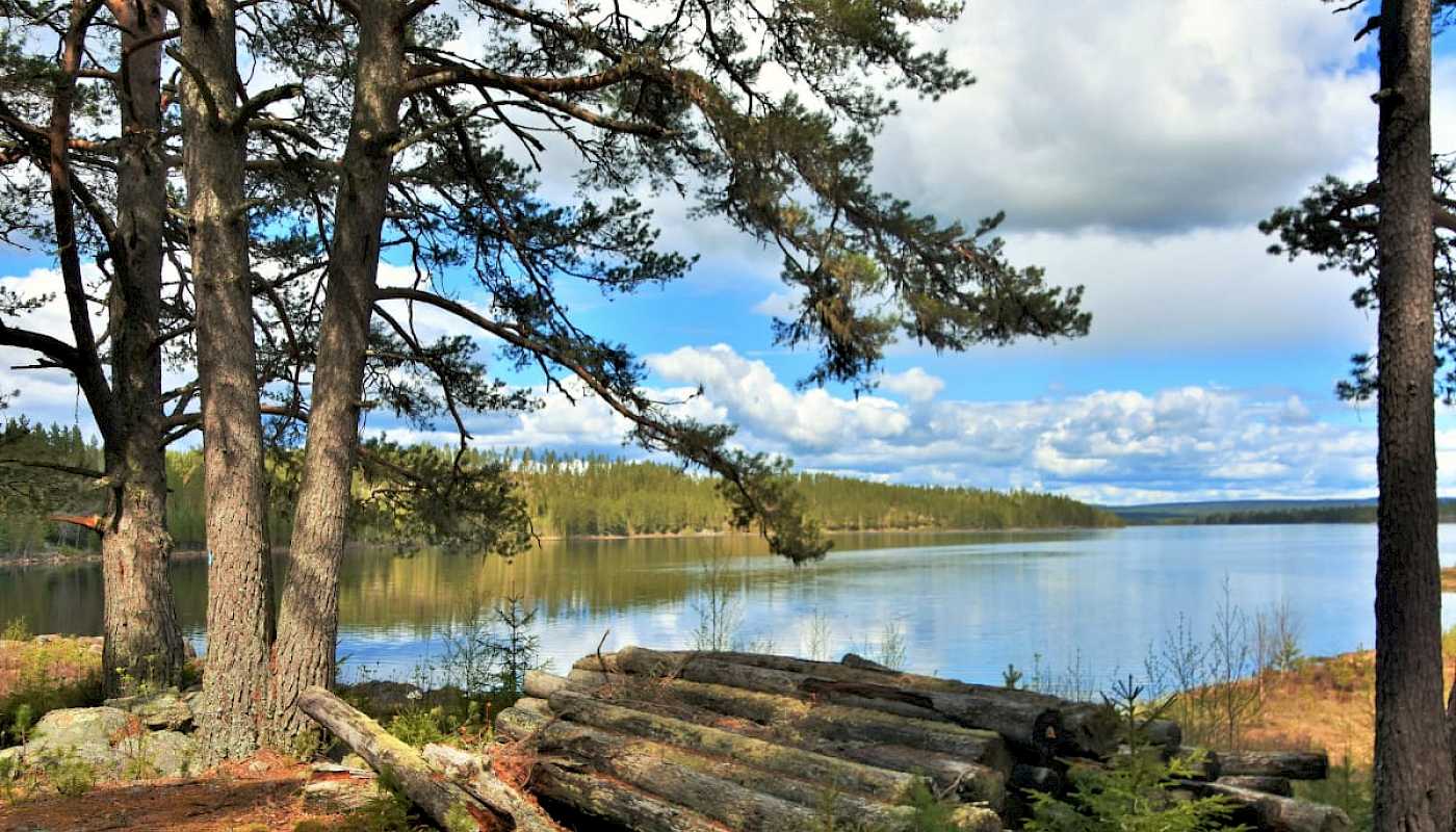 Tur til Finnskogen 1. juli 2025