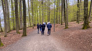 5 personer på sti i grønn bøkeskog