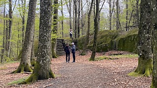 Grønn skog, 3 personer, trapp og himmel bak